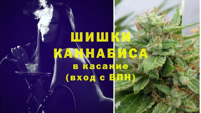 Конопля Bruce Banner  купить наркоту  Короча 